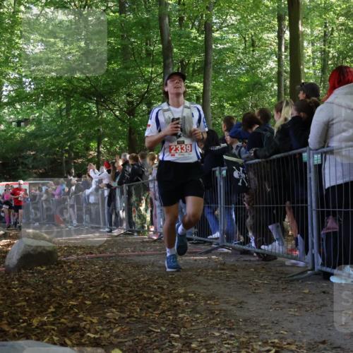 28.09.2025 - 33. Volkslauf durch das schöne Alstertal Strokosch-Dieckow http://msf.ph/oto/8972905 28.09.2025 12:07:00 Ziel 1048, 1674, 1699, 1809, 2034, 2339, 2647 meine-sportfotos.de