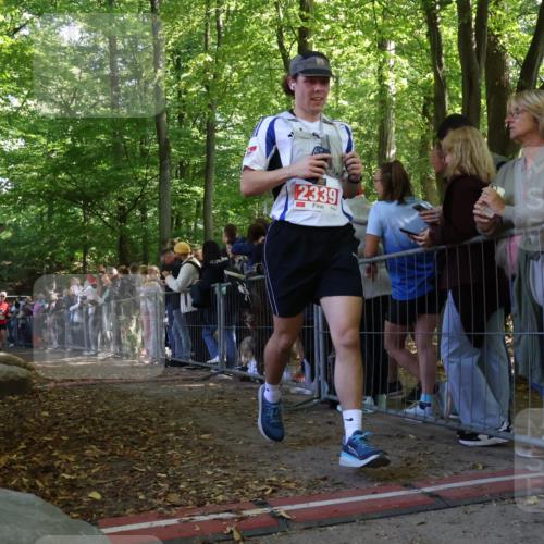 28.09.2025 - 33. Volkslauf durch das schöne Alstertal Strokosch-Dieckow http://msf.ph/oto/8972906 28.09.2025 12:07:01 Ziel 1048, 1674, 1699, 1809, 2034, 2339, 2613, 2647 meine-sportfotos.de