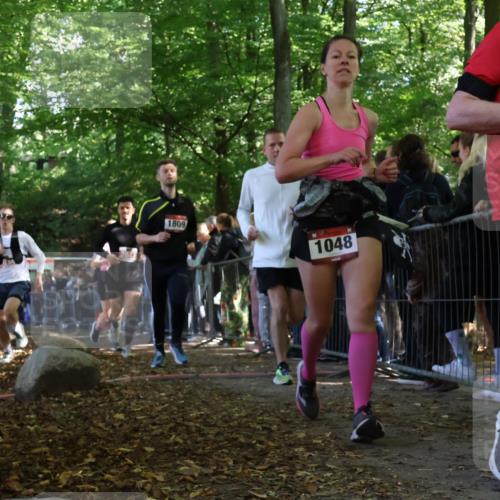 28.09.2025 - 33. Volkslauf durch das schöne Alstertal Strokosch-Dieckow http://msf.ph/oto/8972911 28.09.2025 12:07:07 Ziel 1048, 1674, 1699, 1809, 2034, 2513, 2613, 2647 meine-sportfotos.de