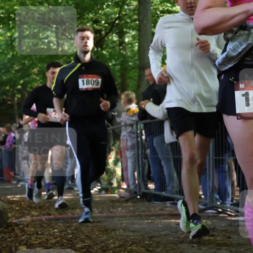 28.09.2025 - 33. Volkslauf durch das schöne Alstertal Strokosch-Dieckow http://msf.ph/oto/8972912 28.09.2025 12:07:08 Ziel 1048, 1699, 1809, 2034, 2513, 2613, 2647 meine-sportfotos.de
