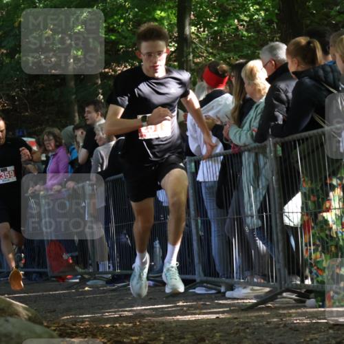 28.09.2025 - 33. Volkslauf durch das schöne Alstertal Strokosch-Dieckow http://msf.ph/oto/8972917 28.09.2025 12:07:15 Ziel 1036, 2359, 2513 meine-sportfotos.de