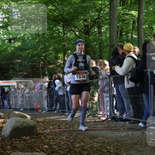 28.09.2025 - 33. Volkslauf durch das schöne Alstertal Strokosch-Dieckow http://msf.ph/oto/8972922 28.09.2025 12:07:19 Ziel 1036, 2267, 2359 meine-sportfotos.de