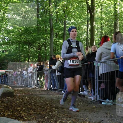 28.09.2025 - 33. Volkslauf durch das schöne Alstertal Strokosch-Dieckow http://msf.ph/oto/8972925 28.09.2025 12:07:20 Ziel 1036, 2267 meine-sportfotos.de