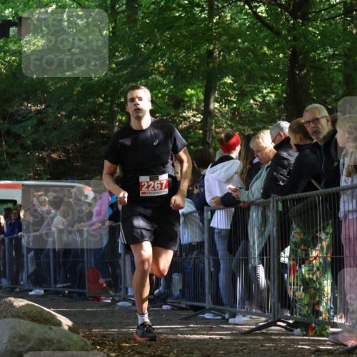 28.09.2025 - 33. Volkslauf durch das schöne Alstertal Strokosch-Dieckow http://msf.ph/oto/8972927 28.09.2025 12:07:26 Ziel 2267 meine-sportfotos.de