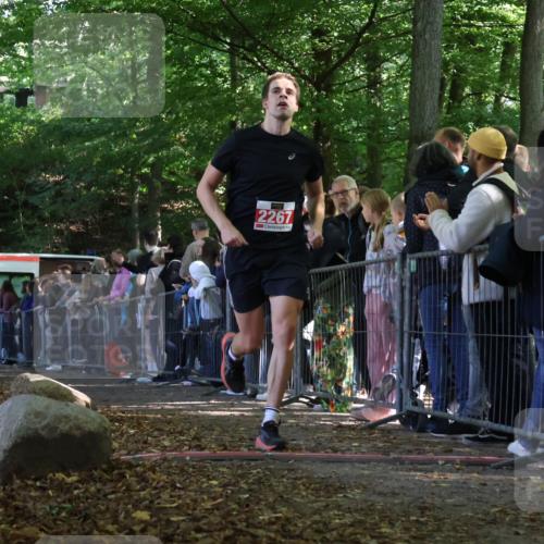 28.09.2025 - 33. Volkslauf durch das schöne Alstertal Strokosch-Dieckow http://msf.ph/oto/8972929 28.09.2025 12:07:27 Ziel 2267 meine-sportfotos.de