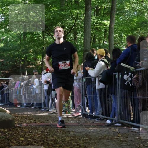 28.09.2025 - 33. Volkslauf durch das schöne Alstertal Strokosch-Dieckow http://msf.ph/oto/8972930 28.09.2025 12:07:28 Ziel 2267 meine-sportfotos.de