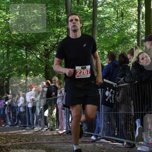 28.09.2025 - 33. Volkslauf durch das schöne Alstertal Strokosch-Dieckow http://msf.ph/oto/8972932 28.09.2025 12:07:28 Ziel 2267 meine-sportfotos.de