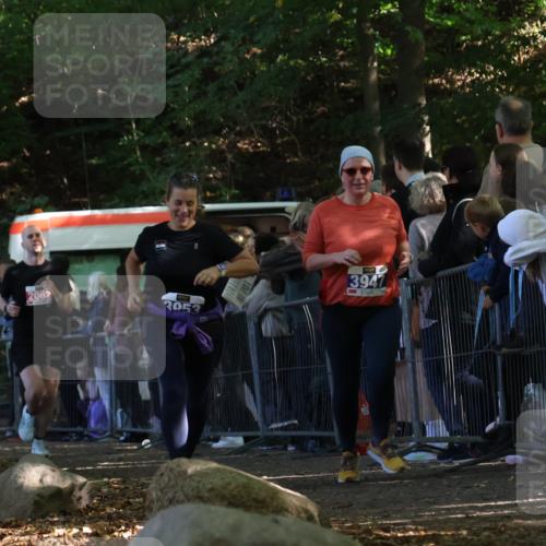 28.09.2025 - 33. Volkslauf durch das schöne Alstertal Strokosch-Dieckow http://msf.ph/oto/8972933 28.09.2025 12:07:39 Ziel 1099, 2062, 2598, 3947, 3953 meine-sportfotos.de