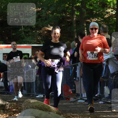 28.09.2025 - 33. Volkslauf durch das schöne Alstertal Strokosch-Dieckow http://msf.ph/oto/8972934 28.09.2025 12:07:40 Ziel 1099, 2062, 2598, 3947, 3953 meine-sportfotos.de