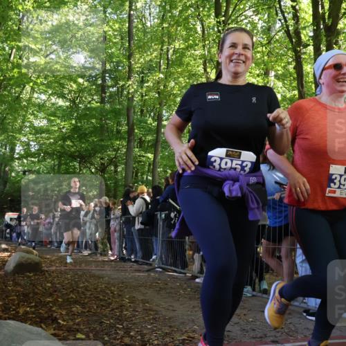 28.09.2025 - 33. Volkslauf durch das schöne Alstertal Strokosch-Dieckow http://msf.ph/oto/8972940 28.09.2025 12:07:44 Ziel 1099, 2062, 2598, 3947, 3953 meine-sportfotos.de