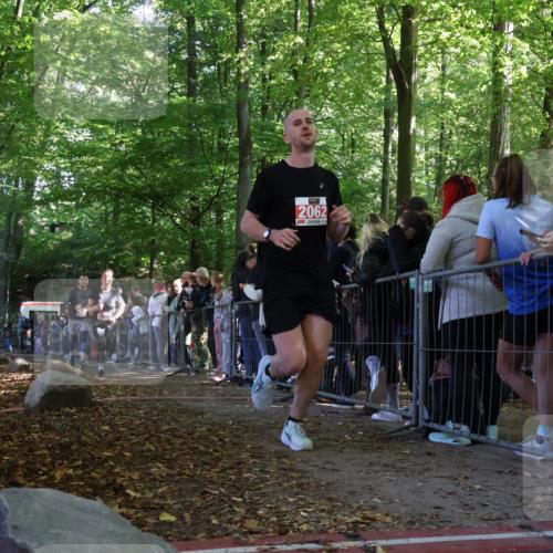 28.09.2025 - 33. Volkslauf durch das schöne Alstertal Strokosch-Dieckow http://msf.ph/oto/8972942 28.09.2025 12:07:46 Ziel 1099, 2062, 2598 meine-sportfotos.de