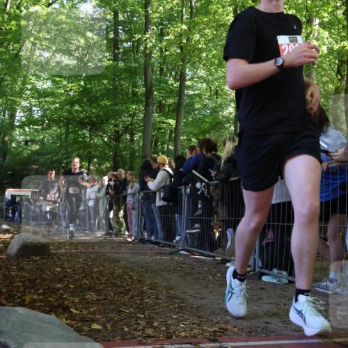 28.09.2025 - 33. Volkslauf durch das schöne Alstertal Strokosch-Dieckow http://msf.ph/oto/8972943 28.09.2025 12:07:46 Ziel 1099, 2062, 2598 meine-sportfotos.de