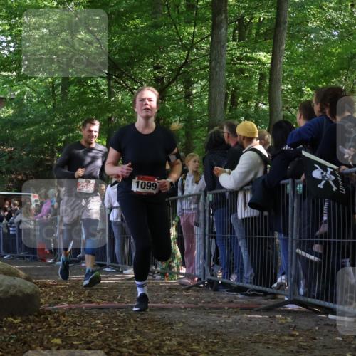 28.09.2025 - 33. Volkslauf durch das schöne Alstertal Strokosch-Dieckow http://msf.ph/oto/8972944 28.09.2025 12:07:47 Ziel 1099, 1686, 2598 meine-sportfotos.de