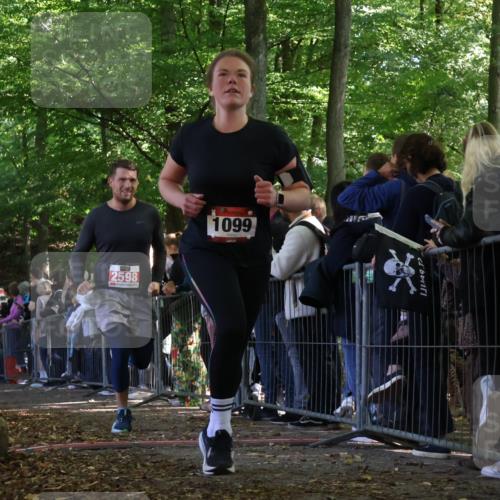 28.09.2025 - 33. Volkslauf durch das schöne Alstertal Strokosch-Dieckow http://msf.ph/oto/8972945 28.09.2025 12:07:48 Ziel 1099, 1686, 2598 meine-sportfotos.de