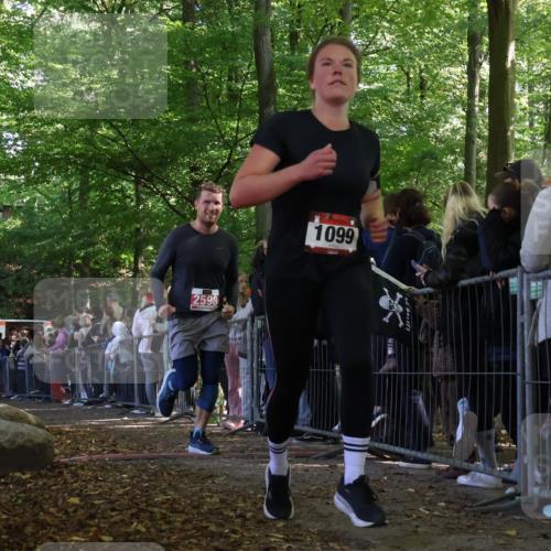 28.09.2025 - 33. Volkslauf durch das schöne Alstertal Strokosch-Dieckow http://msf.ph/oto/8972946 28.09.2025 12:07:48 Ziel 1099, 1686, 2598 meine-sportfotos.de