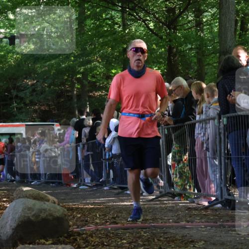 28.09.2025 - 33. Volkslauf durch das schöne Alstertal Strokosch-Dieckow http://msf.ph/oto/8972958 28.09.2025 12:08:04 Ziel 2085, 2086, 2159, 2494 meine-sportfotos.de