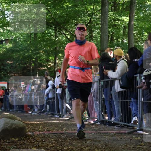 28.09.2025 - 33. Volkslauf durch das schöne Alstertal Strokosch-Dieckow http://msf.ph/oto/8972959 28.09.2025 12:08:05 Ziel 2085, 2086, 2159, 2494 meine-sportfotos.de