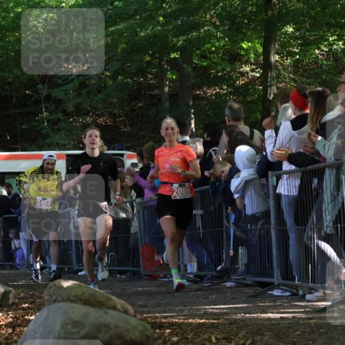 28.09.2025 - 33. Volkslauf durch das schöne Alstertal Strokosch-Dieckow http://msf.ph/oto/8972961 28.09.2025 12:08:07 Ziel 1677, 2085, 2086, 2494 meine-sportfotos.de