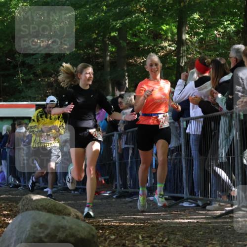 28.09.2025 - 33. Volkslauf durch das schöne Alstertal Strokosch-Dieckow http://msf.ph/oto/8972962 28.09.2025 12:08:08 Ziel 1677, 2085, 2086, 2429, 2494 meine-sportfotos.de