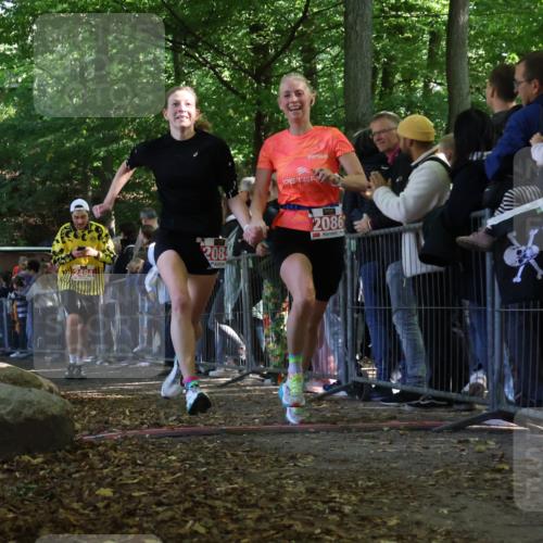 28.09.2025 - 33. Volkslauf durch das schöne Alstertal Strokosch-Dieckow http://msf.ph/oto/8972965 28.09.2025 12:08:09 Ziel 1677, 2085, 2086, 2429, 2494 meine-sportfotos.de