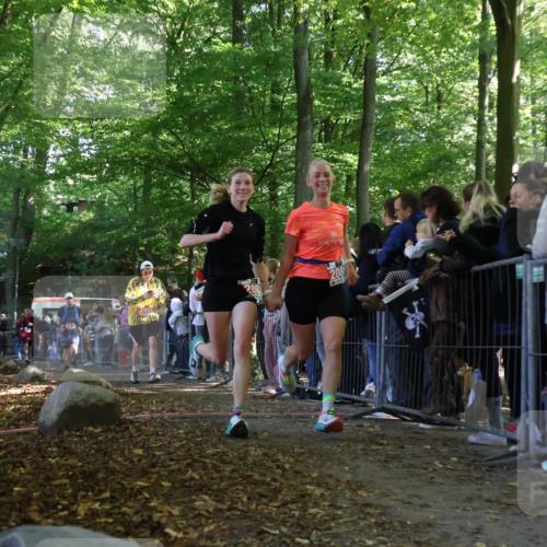 28.09.2025 - 33. Volkslauf durch das schöne Alstertal Strokosch-Dieckow http://msf.ph/oto/8972966 28.09.2025 12:08:10 Ziel 1677, 2085, 2086, 2429, 2494 meine-sportfotos.de