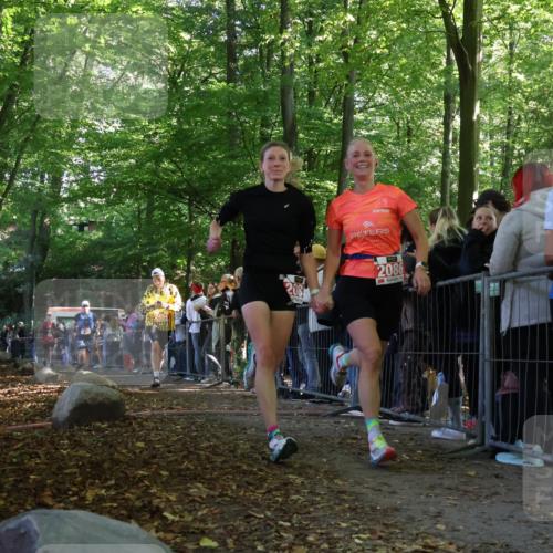 28.09.2025 - 33. Volkslauf durch das schöne Alstertal Strokosch-Dieckow http://msf.ph/oto/8972967 28.09.2025 12:08:10 Ziel 1677, 2085, 2086, 2429, 2494 meine-sportfotos.de