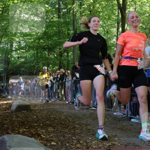 28.09.2025 - 33. Volkslauf durch das schöne Alstertal Strokosch-Dieckow http://msf.ph/oto/8972968 28.09.2025 12:08:11 Ziel 1677, 2085, 2086, 2429, 2494 meine-sportfotos.de
