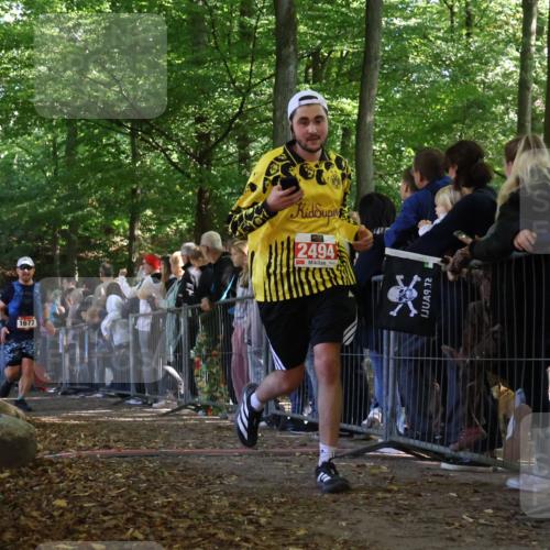 28.09.2025 - 33. Volkslauf durch das schöne Alstertal Strokosch-Dieckow http://msf.ph/oto/8972970 28.09.2025 12:08:12 Ziel 1677, 2429, 2494 meine-sportfotos.de