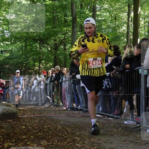 28.09.2025 - 33. Volkslauf durch das schöne Alstertal Strokosch-Dieckow http://msf.ph/oto/8972971 28.09.2025 12:08:12 Ziel 1677, 2429, 2494 meine-sportfotos.de