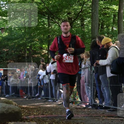 28.09.2025 - 33. Volkslauf durch das schöne Alstertal Strokosch-Dieckow http://msf.ph/oto/8972975 28.09.2025 12:08:17 Ziel 1684, 1702, 2429 meine-sportfotos.de