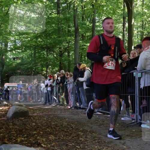 28.09.2025 - 33. Volkslauf durch das schöne Alstertal Strokosch-Dieckow http://msf.ph/oto/8972977 28.09.2025 12:08:18 Ziel 1128, 1684, 1702, 2429 meine-sportfotos.de