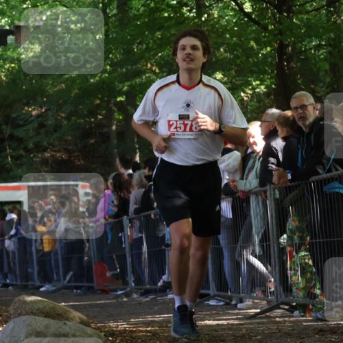 28.09.2025 - 33. Volkslauf durch das schöne Alstertal Strokosch-Dieckow http://msf.ph/oto/8972995 28.09.2025 12:08:33 Ziel 2261, 2578 meine-sportfotos.de