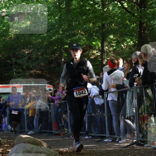 28.09.2025 - 33. Volkslauf durch das schöne Alstertal Strokosch-Dieckow http://msf.ph/oto/8973001 28.09.2025 12:08:56 Ziel 1042, 2125, 2334, 2371, 2628 meine-sportfotos.de