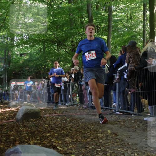 28.09.2025 - 33. Volkslauf durch das schöne Alstertal Strokosch-Dieckow http://msf.ph/oto/8973006 28.09.2025 12:09:00 Ziel 2125, 2334, 2371, 2628 meine-sportfotos.de