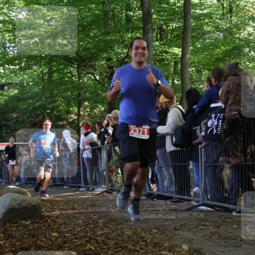 28.09.2025 - 33. Volkslauf durch das schöne Alstertal Strokosch-Dieckow http://msf.ph/oto/8973007 28.09.2025 12:09:01 Ziel 2125, 2334, 2371, 2628 meine-sportfotos.de