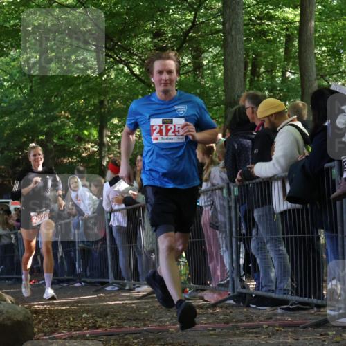 28.09.2025 - 33. Volkslauf durch das schöne Alstertal Strokosch-Dieckow http://msf.ph/oto/8973009 28.09.2025 12:09:02 Ziel 2125, 2371, 2628 meine-sportfotos.de