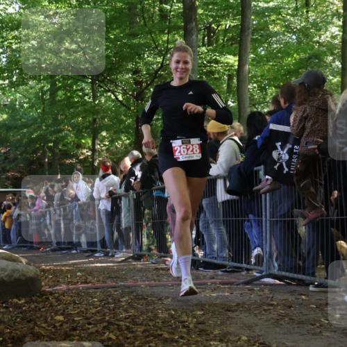 28.09.2025 - 33. Volkslauf durch das schöne Alstertal Strokosch-Dieckow http://msf.ph/oto/8973011 28.09.2025 12:09:04 Ziel 2125, 2628 meine-sportfotos.de