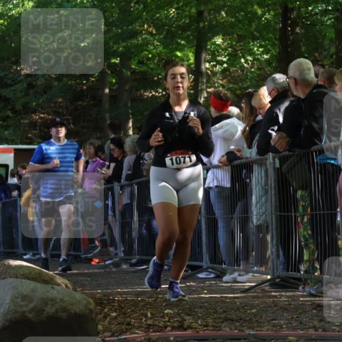 28.09.2025 - 33. Volkslauf durch das schöne Alstertal Strokosch-Dieckow http://msf.ph/oto/8973014 28.09.2025 12:09:13 Ziel 1071, 1695 meine-sportfotos.de