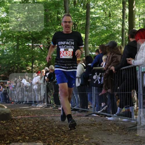 28.09.2025 - 33. Volkslauf durch das schöne Alstertal Strokosch-Dieckow http://msf.ph/oto/8973031 28.09.2025 12:09:47 Ziel 2439, 2587 meine-sportfotos.de
