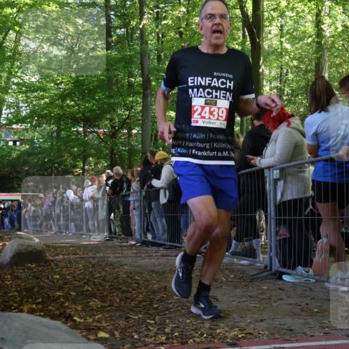 28.09.2025 - 33. Volkslauf durch das schöne Alstertal Strokosch-Dieckow http://msf.ph/oto/8973032 28.09.2025 12:09:48 Ziel 2025, 2439, 2587 meine-sportfotos.de