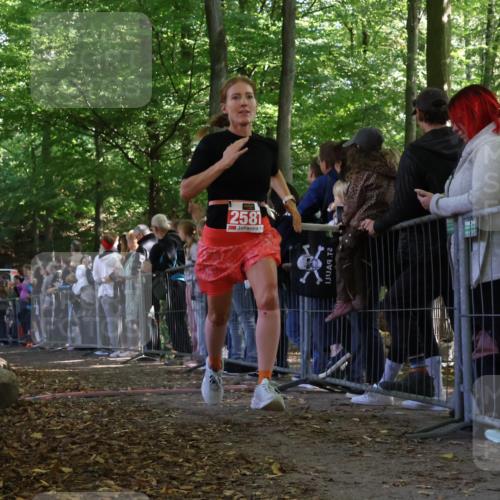 28.09.2025 - 33. Volkslauf durch das schöne Alstertal Strokosch-Dieckow http://msf.ph/oto/8973033 28.09.2025 12:09:54 Ziel 2025, 2587 meine-sportfotos.de