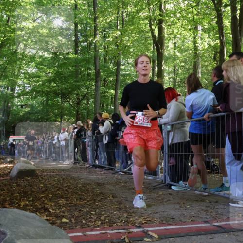28.09.2025 - 33. Volkslauf durch das schöne Alstertal Strokosch-Dieckow http://msf.ph/oto/8973034 28.09.2025 12:09:54 Ziel 2025, 2587 meine-sportfotos.de