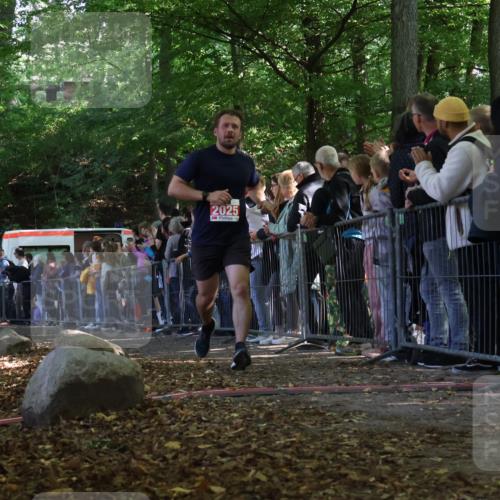28.09.2025 - 33. Volkslauf durch das schöne Alstertal Strokosch-Dieckow http://msf.ph/oto/8973035 28.09.2025 12:09:56 Ziel 2025 meine-sportfotos.de