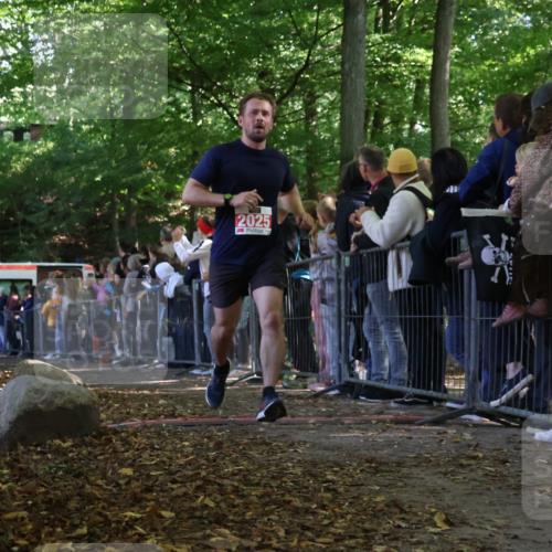 28.09.2025 - 33. Volkslauf durch das schöne Alstertal Strokosch-Dieckow http://msf.ph/oto/8973036 28.09.2025 12:09:57 Ziel 1693, 1694, 2025, 2311, 2313 meine-sportfotos.de