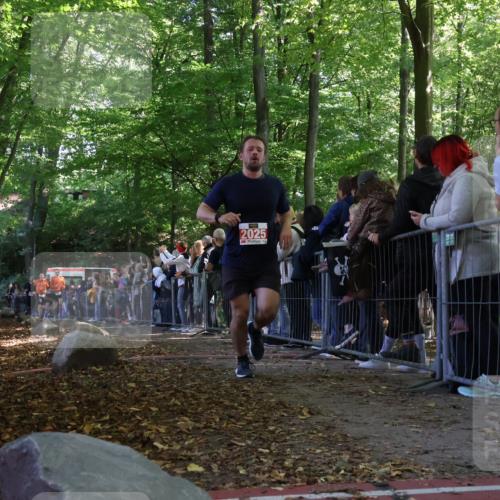 28.09.2025 - 33. Volkslauf durch das schöne Alstertal Strokosch-Dieckow http://msf.ph/oto/8973037 28.09.2025 12:09:57 Ziel 1693, 1694, 2025, 2311, 2313 meine-sportfotos.de