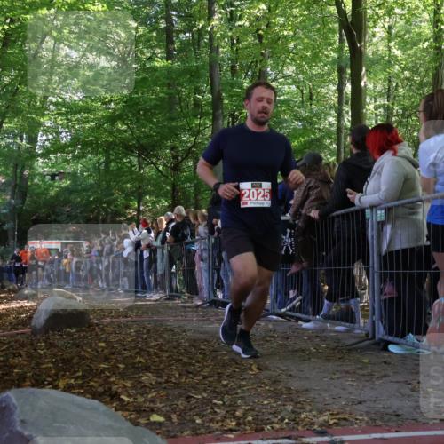 28.09.2025 - 33. Volkslauf durch das schöne Alstertal Strokosch-Dieckow http://msf.ph/oto/8973038 28.09.2025 12:09:58 Ziel 1693, 1694, 2025, 2311, 2313 meine-sportfotos.de