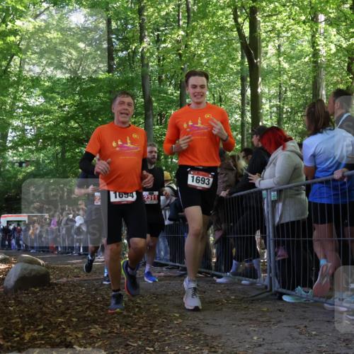28.09.2025 - 33. Volkslauf durch das schöne Alstertal Strokosch-Dieckow http://msf.ph/oto/8973044 28.09.2025 12:10:06 Ziel 1693, 1694, 2311, 2313 meine-sportfotos.de