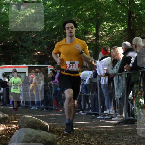 28.09.2025 - 33. Volkslauf durch das schöne Alstertal Strokosch-Dieckow http://msf.ph/oto/8973048 28.09.2025 12:10:16 Ziel 1051, 1064, 2135, 2271, 2528, 2588 meine-sportfotos.de