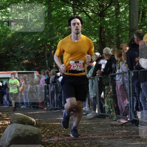 28.09.2025 - 33. Volkslauf durch das schöne Alstertal Strokosch-Dieckow http://msf.ph/oto/8973049 28.09.2025 12:10:17 Ziel 1051, 1064, 2135, 2271, 2528, 2588 meine-sportfotos.de