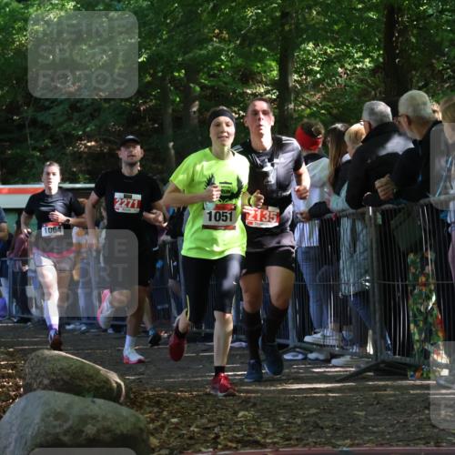 28.09.2025 - 33. Volkslauf durch das schöne Alstertal Strokosch-Dieckow http://msf.ph/oto/8973054 28.09.2025 12:10:21 Ziel 1051, 1064, 1722, 2135, 2271, 2307, 2588 meine-sportfotos.de